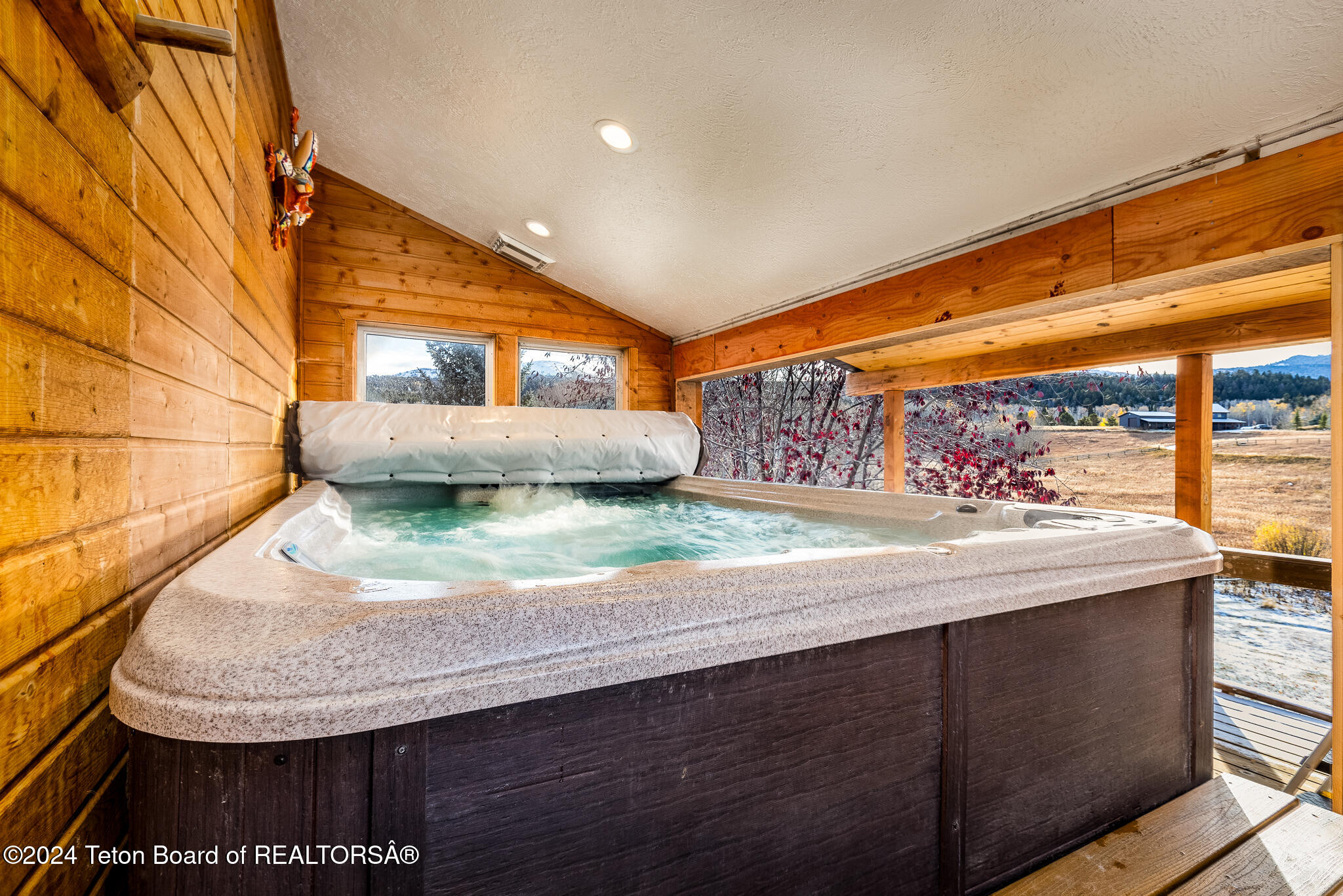 1905 Beaver Drive Alta, WY 83414 - Photo 39 of 73 12 Foot Swim Spa