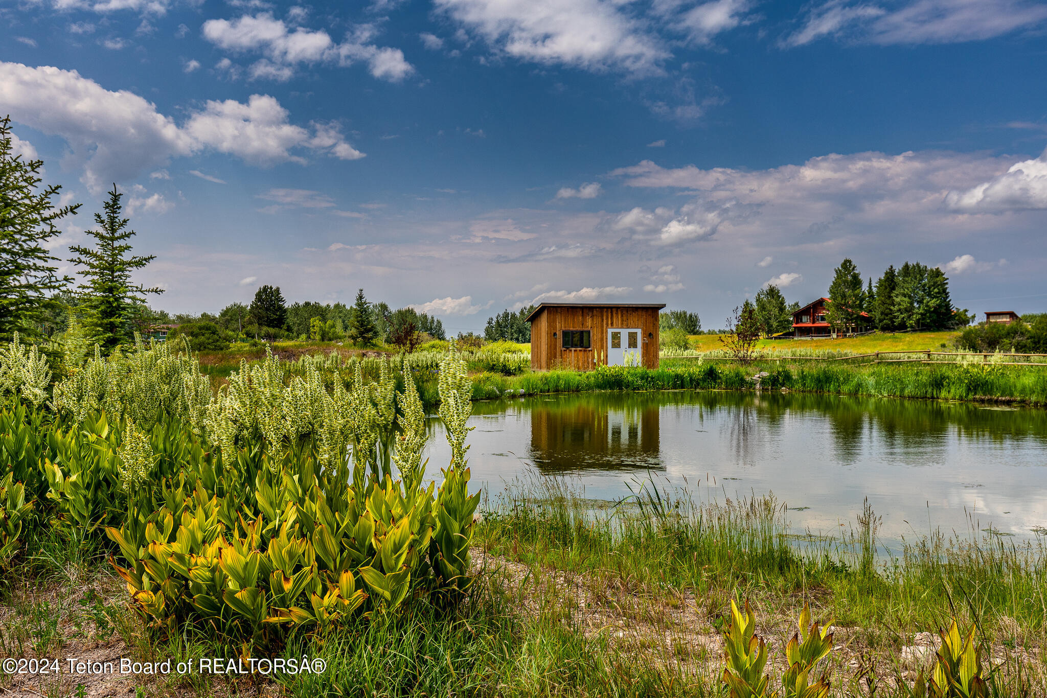 1905 Beaver Drive Alta, WY 83414 - Photo 65 of 73 Stocked-Aerated Pond