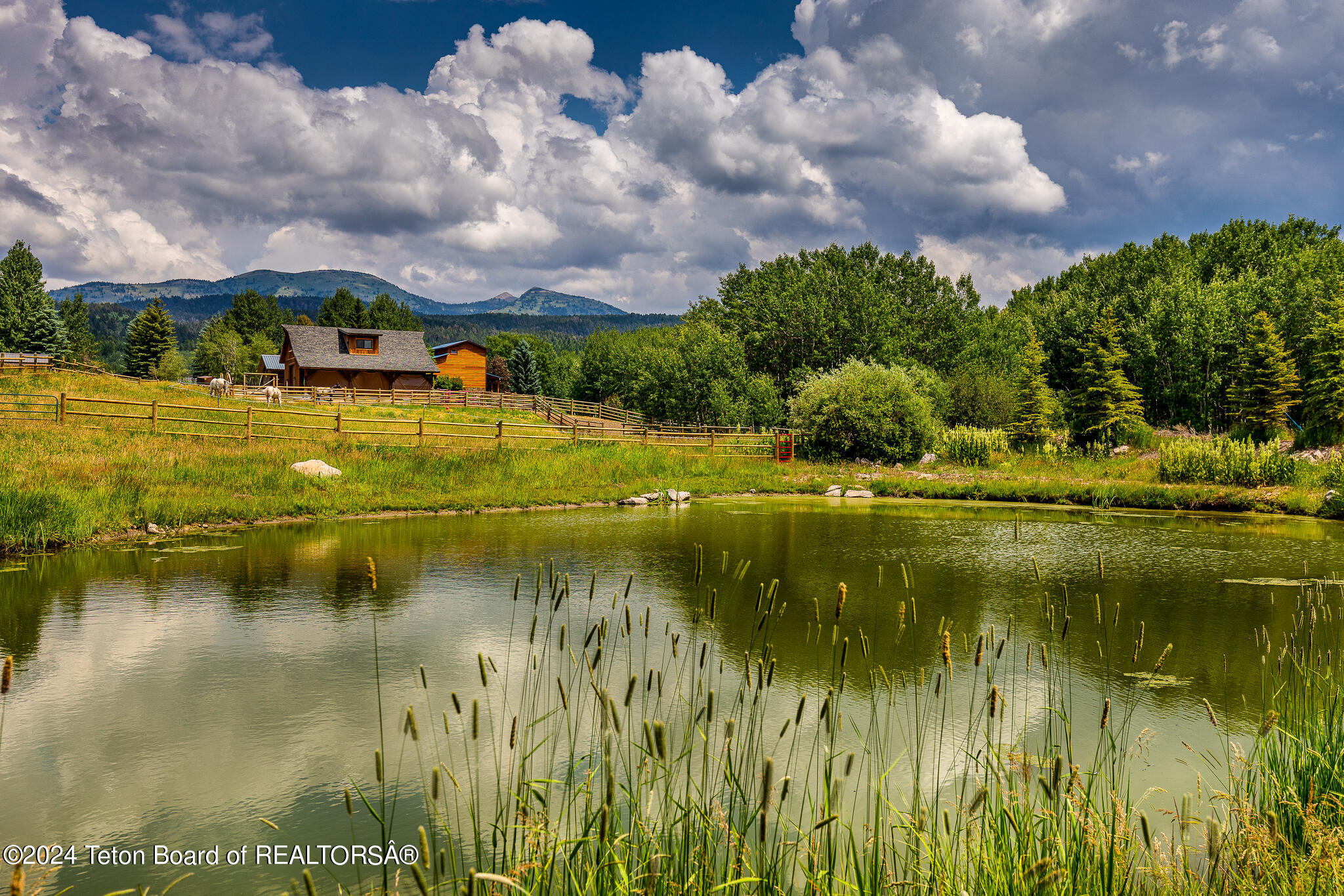 1905 Beaver Drive Alta, WY 83414 - Photo 66 of 73 Pond