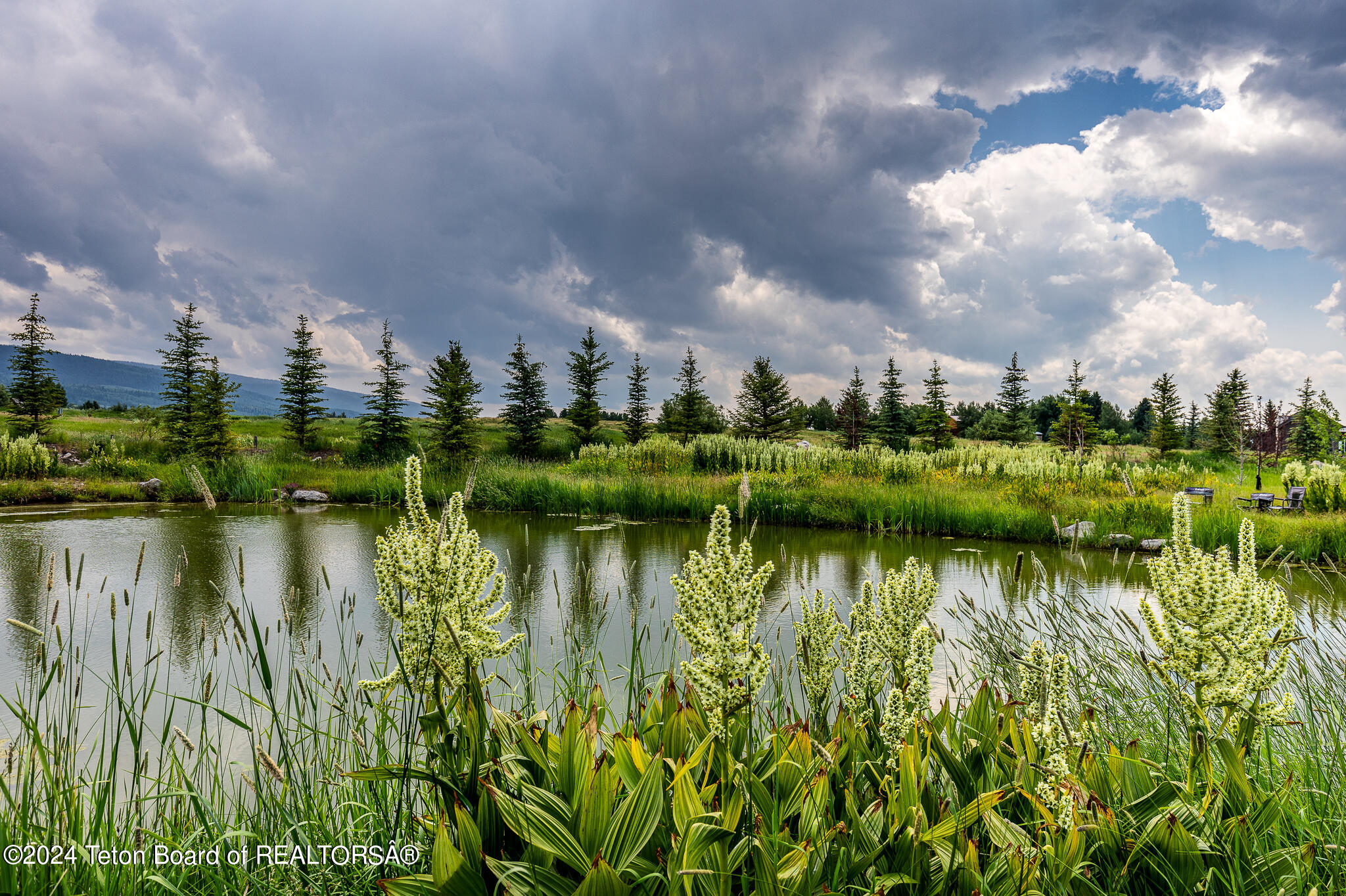 1905 Beaver Drive Alta, WY 83414 - Photo 67 of 73 Pond