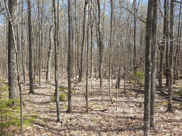Lot 1 West Carpenter Lake Road Eagle River, WI 54521 - Photo 2 of 17 Gallery Image 2