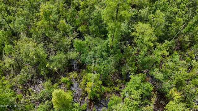 $120,000 | Tbd Cowels Road, Fountain, FL 32438