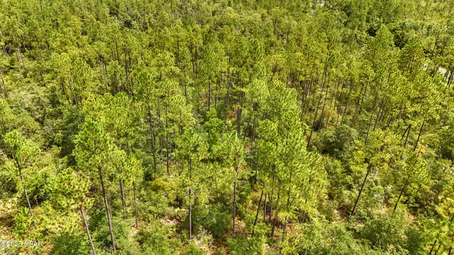 $120,000 | Tbd Cowels Road, Fountain, FL 32438