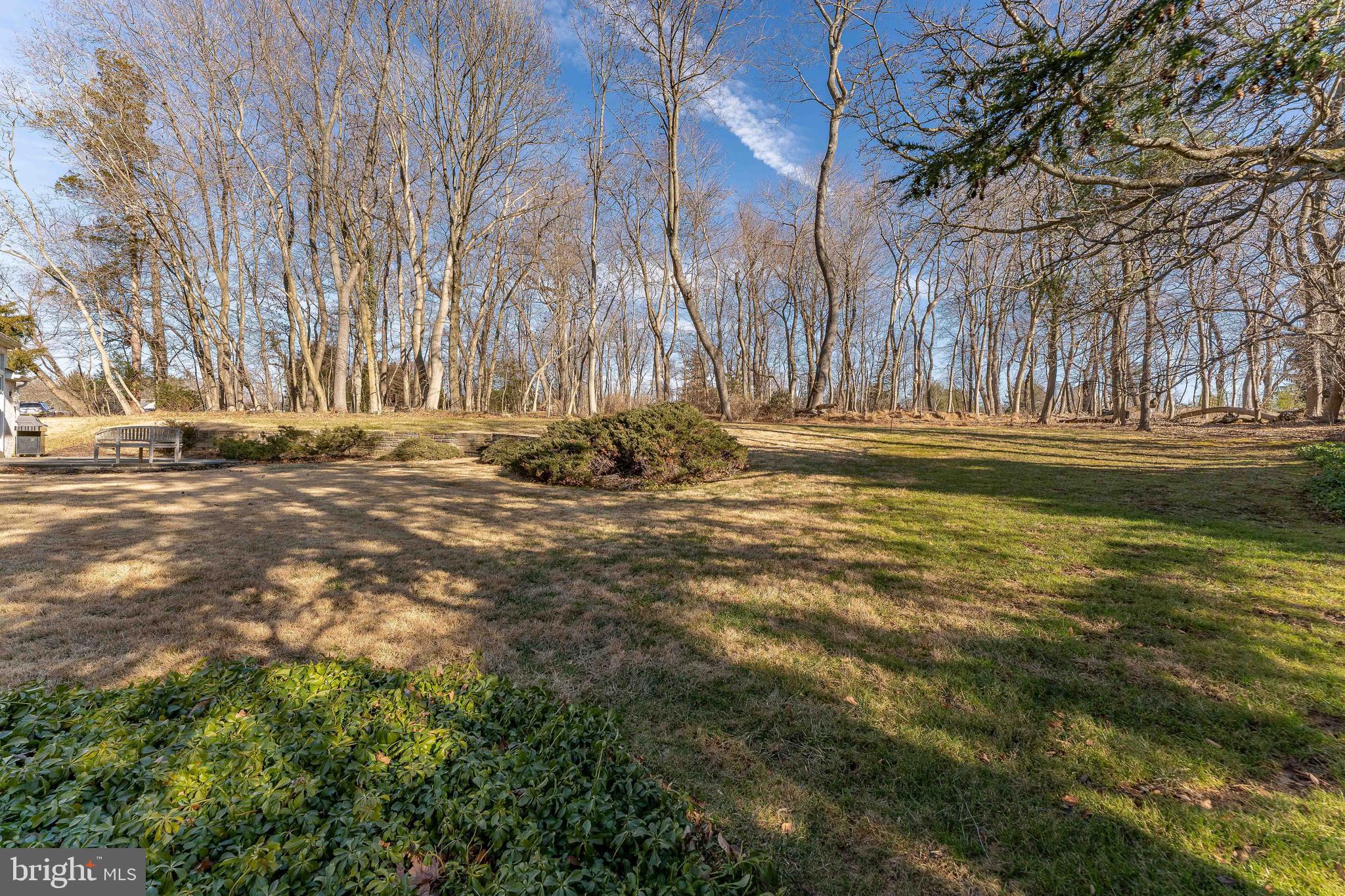 249 Bell Road Wynnewood, PA 19096 - Photo 70 of 76 a view of a yard with large trees