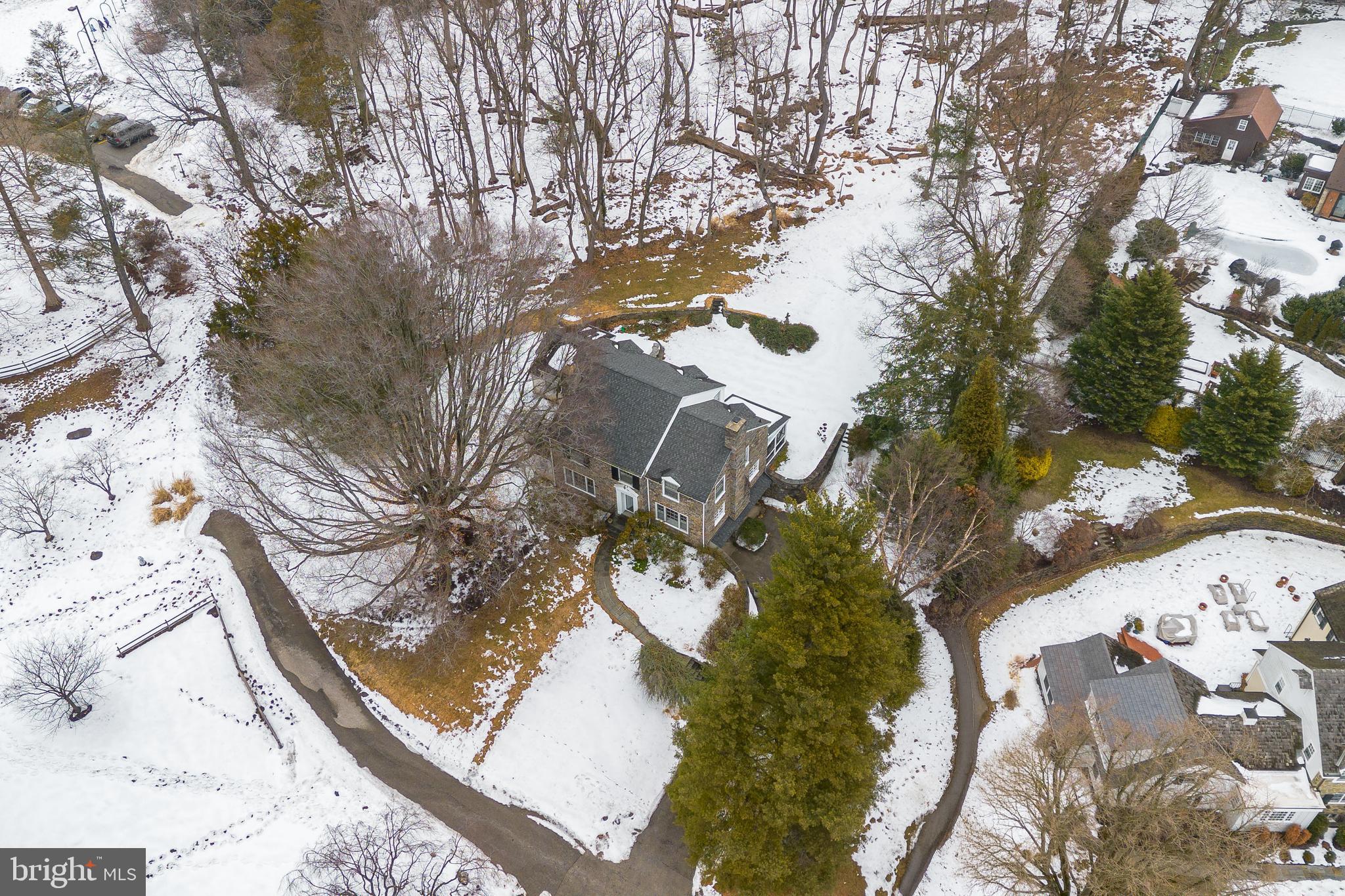 249 Bell Road Wynnewood, PA 19096 - Photo 76 of 76 a picture of tree