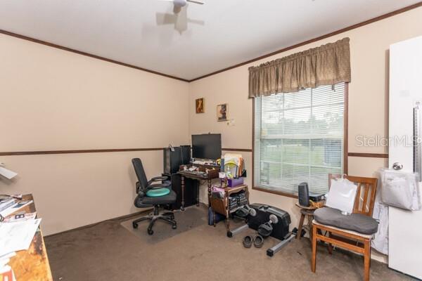 5607 Cherry Lane Bunnell, FL 32110 - Photo 14 of 36