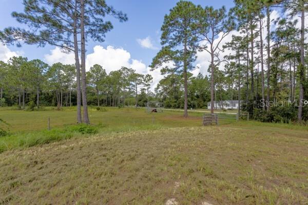 5607 Cherry Lane Bunnell, FL 32110 - Photo 20 of 36