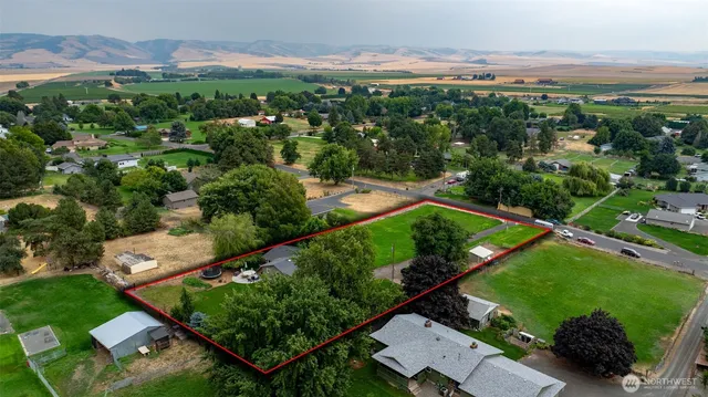 an aerial view of green landscape with trees houses and mountain view