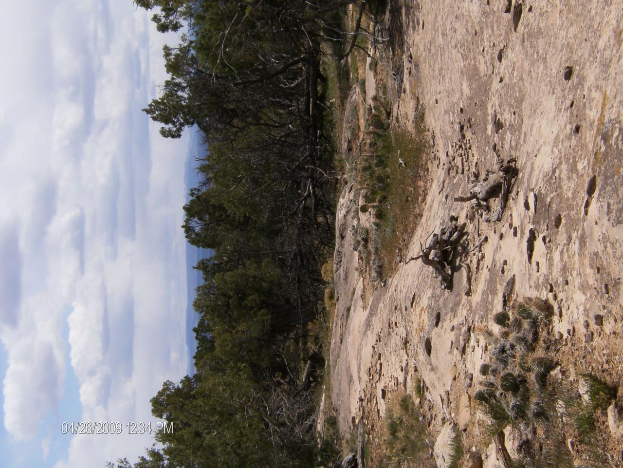 Tbd Tbd Off Of Bb Road Nucla, CO 81424 - Photo 7 of 7 5