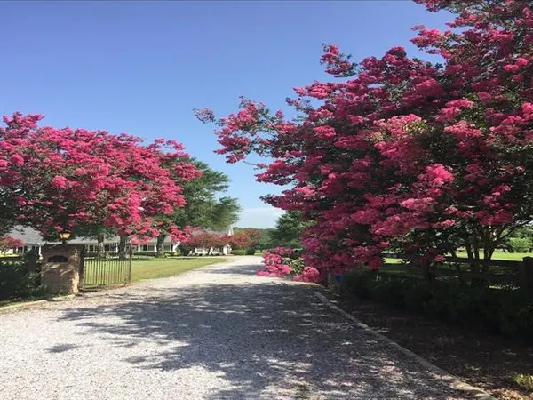 $1,585,000 | 11525 Oak Hill Lane, Folsom, LA 70437