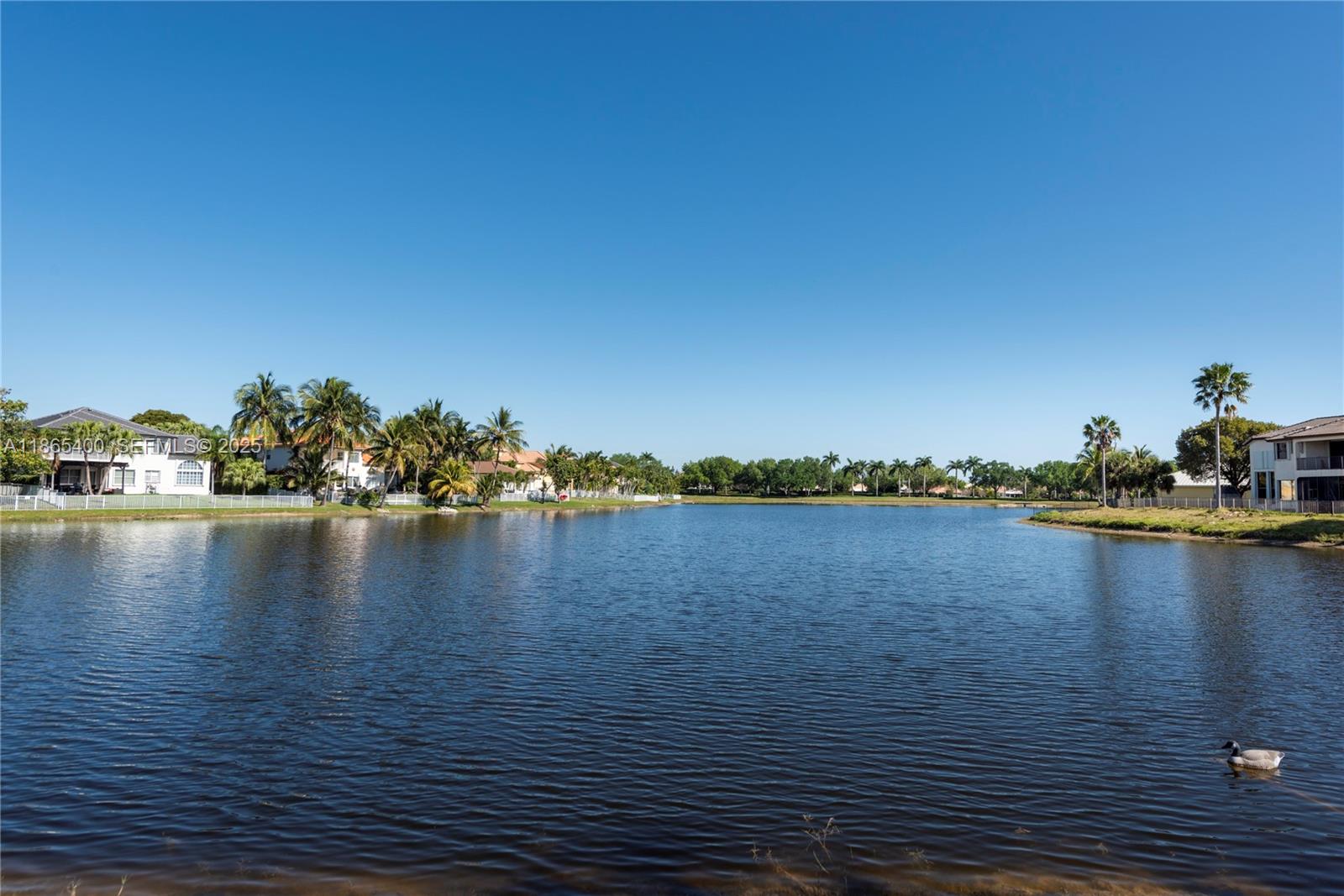 18991 Southwest 32nd Street Miramar, FL 33029 - Photo 46 of 98 a view of an ocean with boats and trees in the background