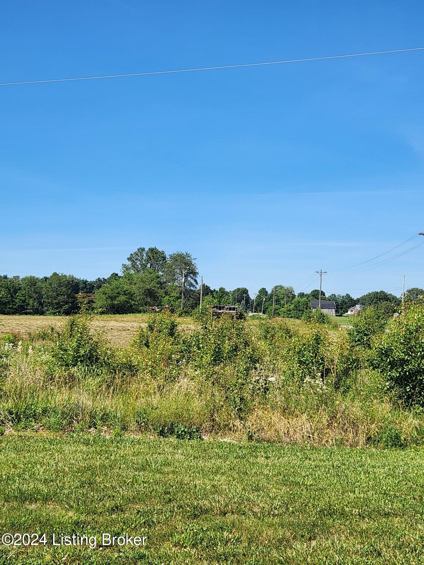 0 Red Mill Road Elizabethtown, KY 42701 - Photo 1 of 1 redmillLOT1