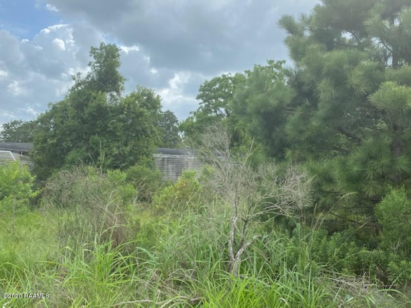 2494 Cemetery Road Opelousas, LA 70570 - Photo 3 of 4 IMG_0529
