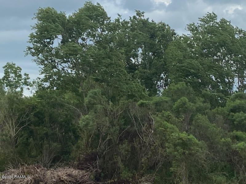 2494 Cemetery Road Opelousas, LA 70570 - Photo 4 of 4 IMG_0537