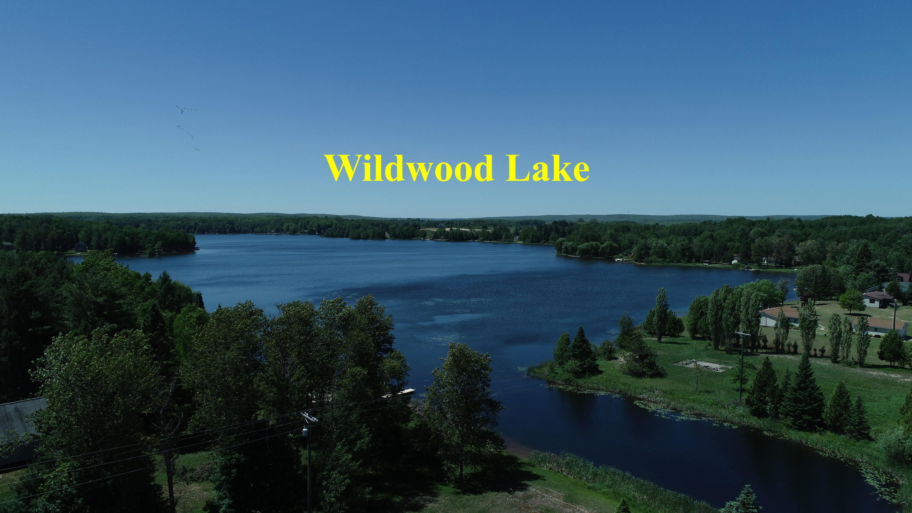 0 Wurm Road Wolverine, MI 49799 - Photo 7 of 9 Gallery Image 7