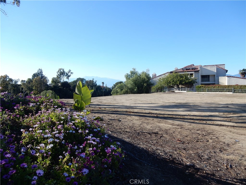 0 Cindee Lane Colton, CA 92324 - Photo 3 of 10