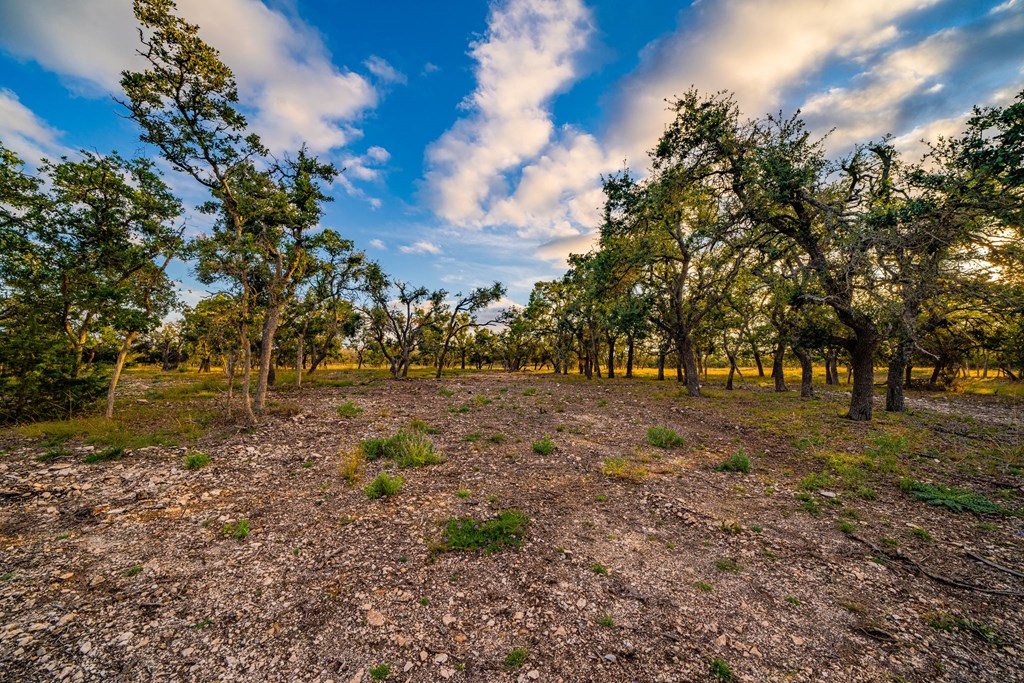 Lot 56 Reservation Road, Unit 56 Harper, TX 78631 - Photo 4 of 7 Gallery Image 4