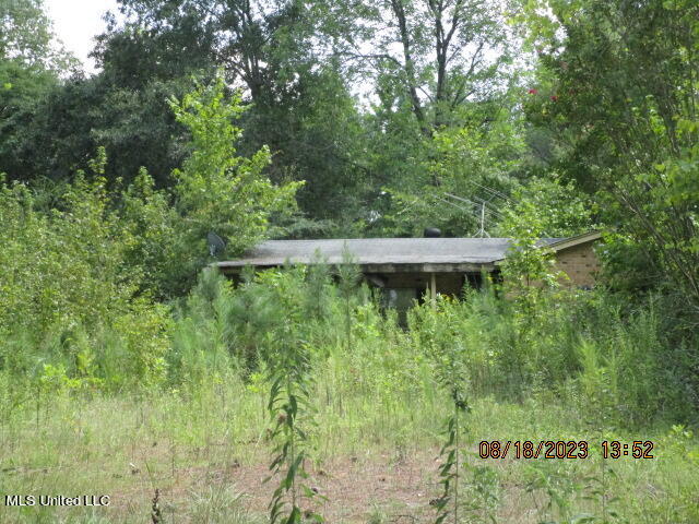 2618 Pryor Road Coldwater, MS 38618 - Photo 2 of 10 IMG_5026
