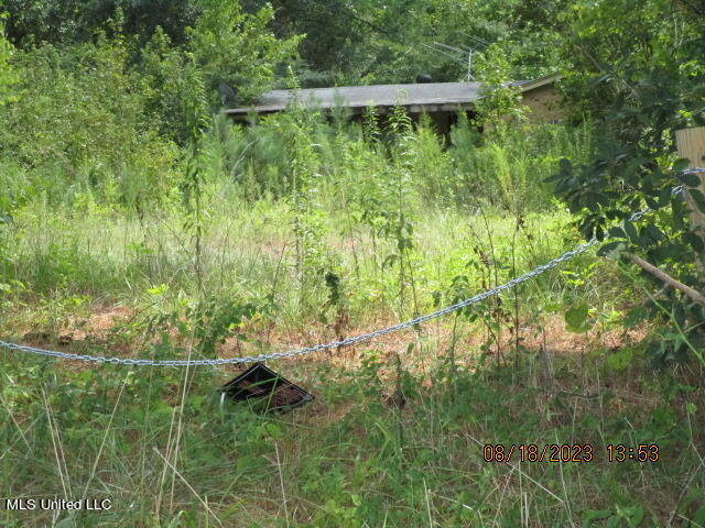 2618 Pryor Road Coldwater, MS 38618 - Photo 3 of 10 IMG_5027