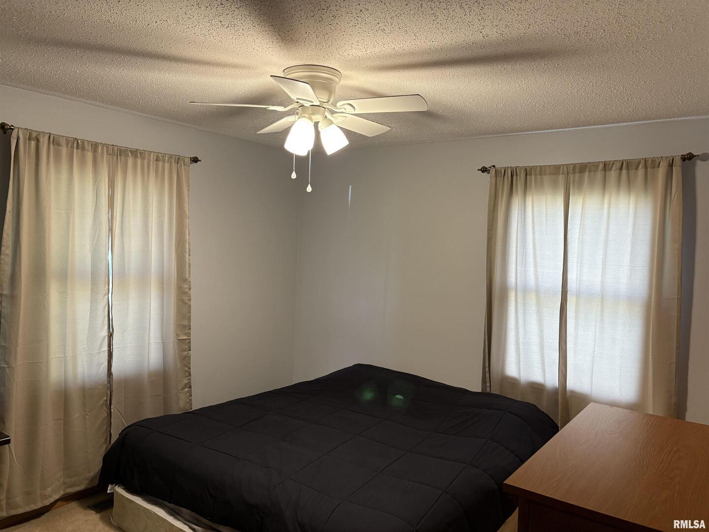 2119 Rains Street Murphysboro, IL 62966 - Photo 15 of 34 Gallery Image 15
