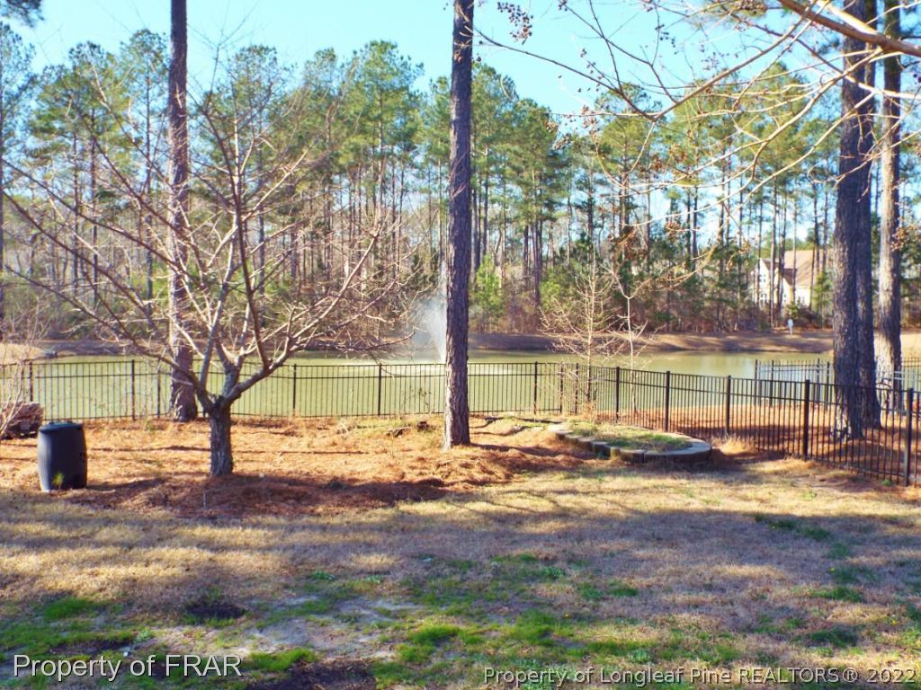 239 Falling Water Road Spring Lake, NC 28390 - Photo 3 of 36 a view of a yard with a tree