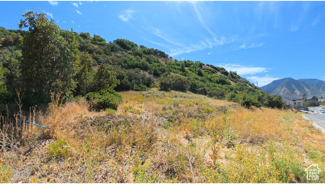 3635 South Riverstone Road East, Unit 81 Mapleton, UT 84664 - Photo 2 of 6 View of local wilderness featuring mountains