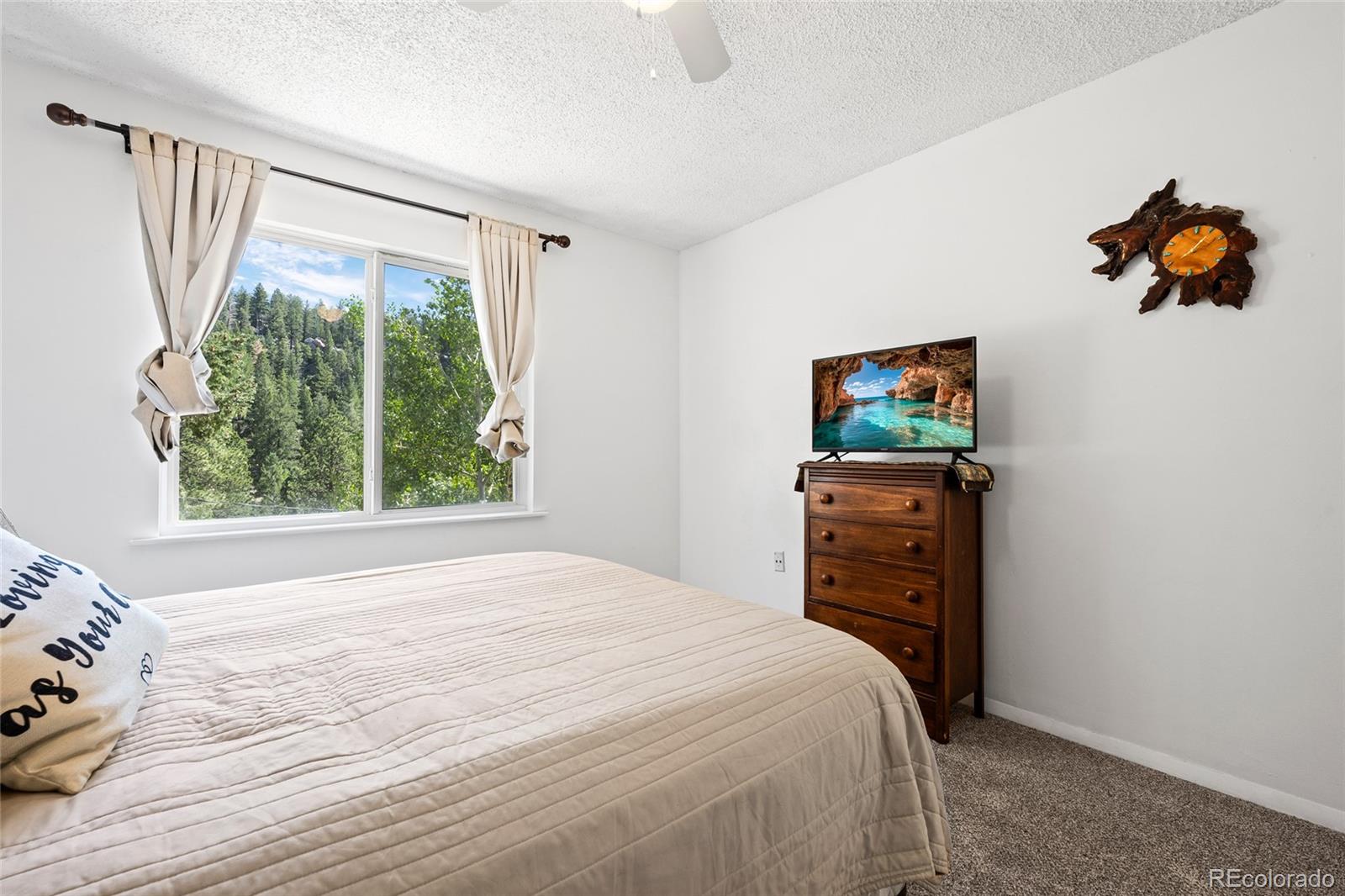 1729 Crow Valley Road Bailey, CO 80421 - Photo 35 of 49