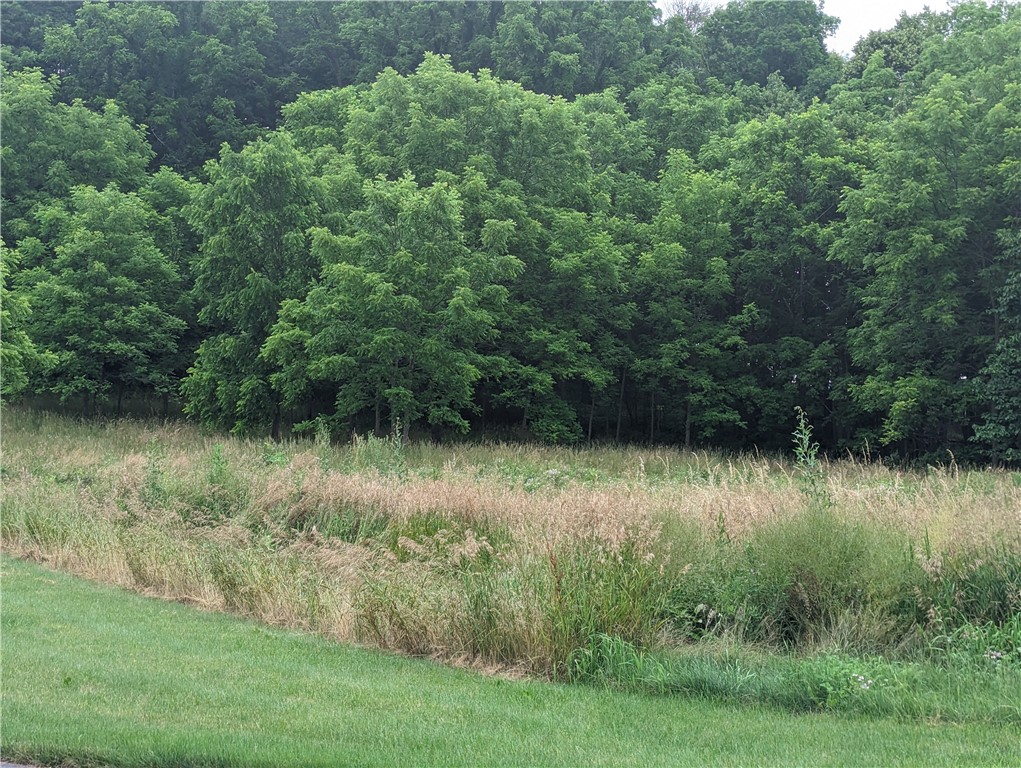 436 Cline Road Victor, NY 14564 - Photo 7 of 11 Summer