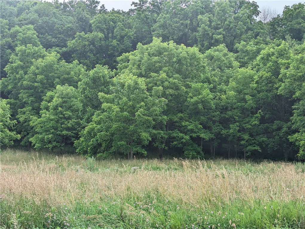 436 Cline Road Victor, NY 14564 - Photo 8 of 11 Summer