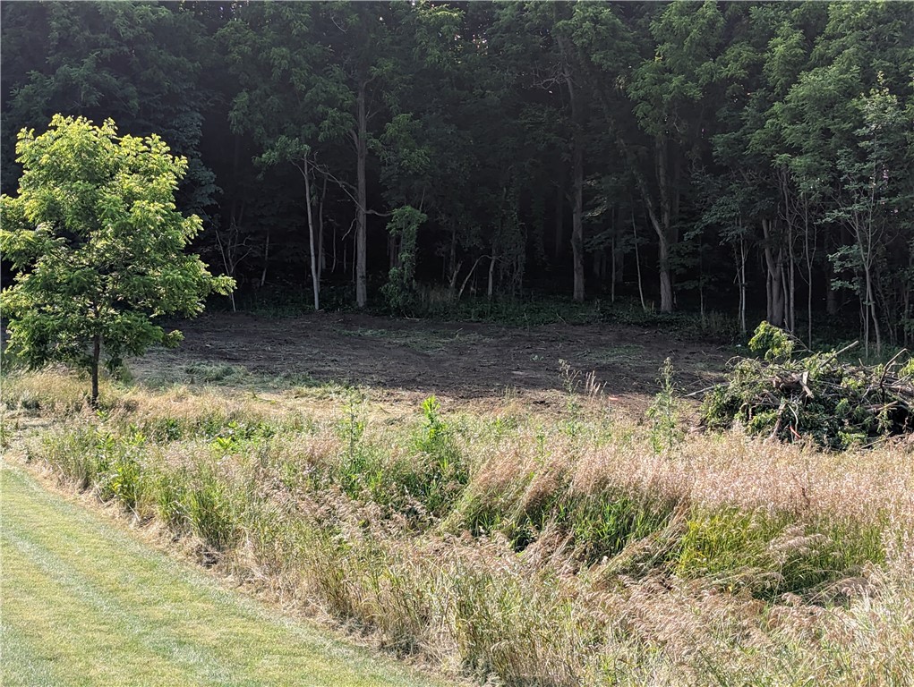 436 Cline Road Victor, NY 14564 - Photo 9 of 11 Just broke ground!