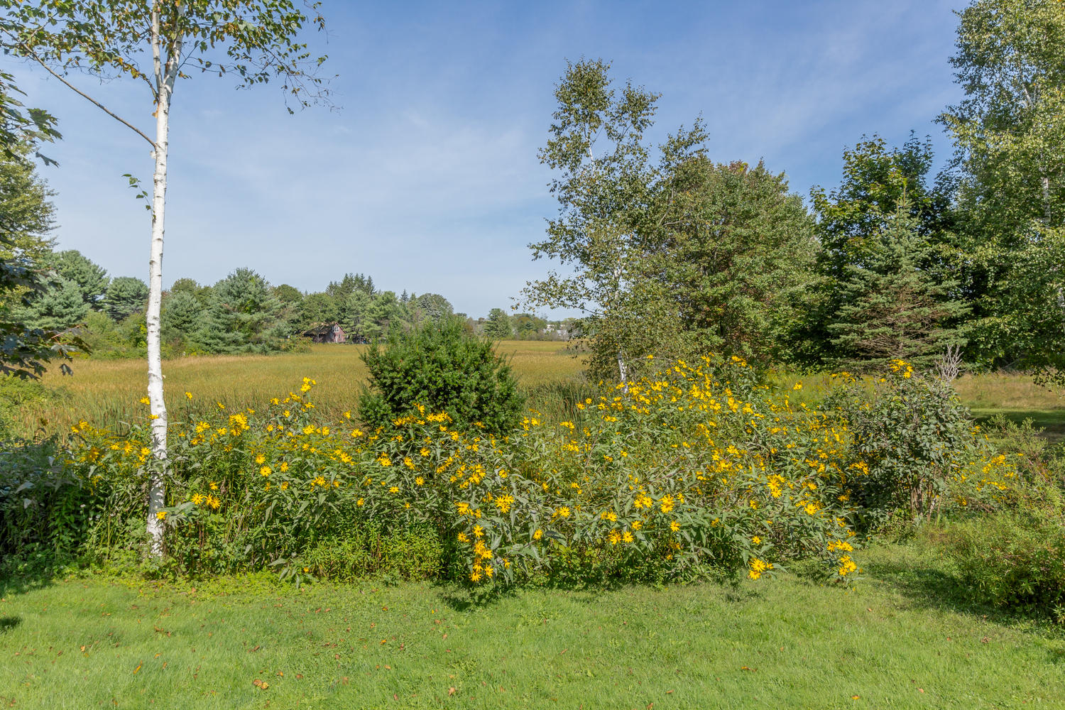 19 Milliken Road Scarborough, ME 04074 - Photo 72 of 80 20190910PB-51100