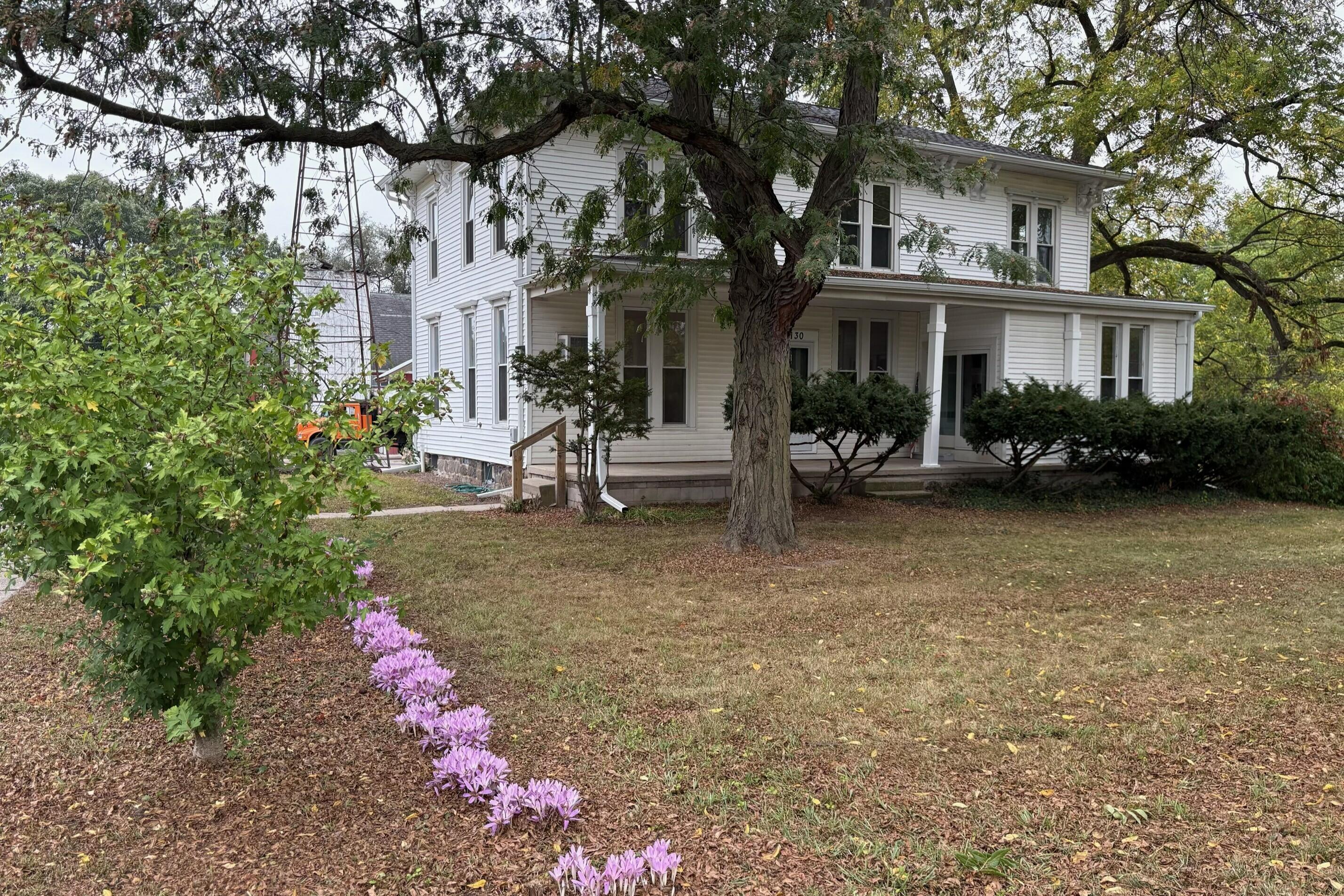 7130 Platt Road Saline, MI 48176 - Photo 70 of 77 Fall Crocus