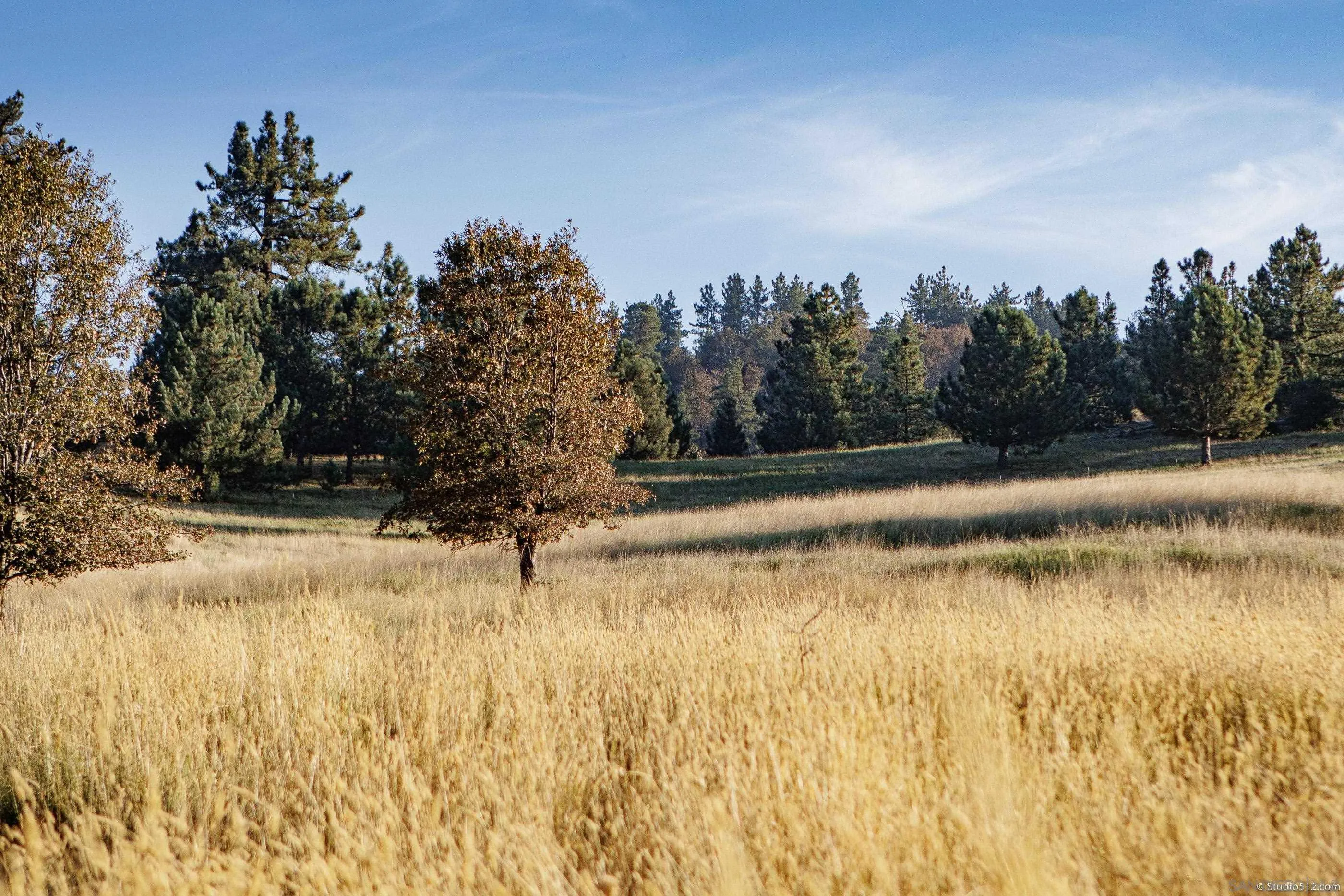 1861 Wynola Road Julian, CA 92036 - Photo 53 of 75 a view of a lake view