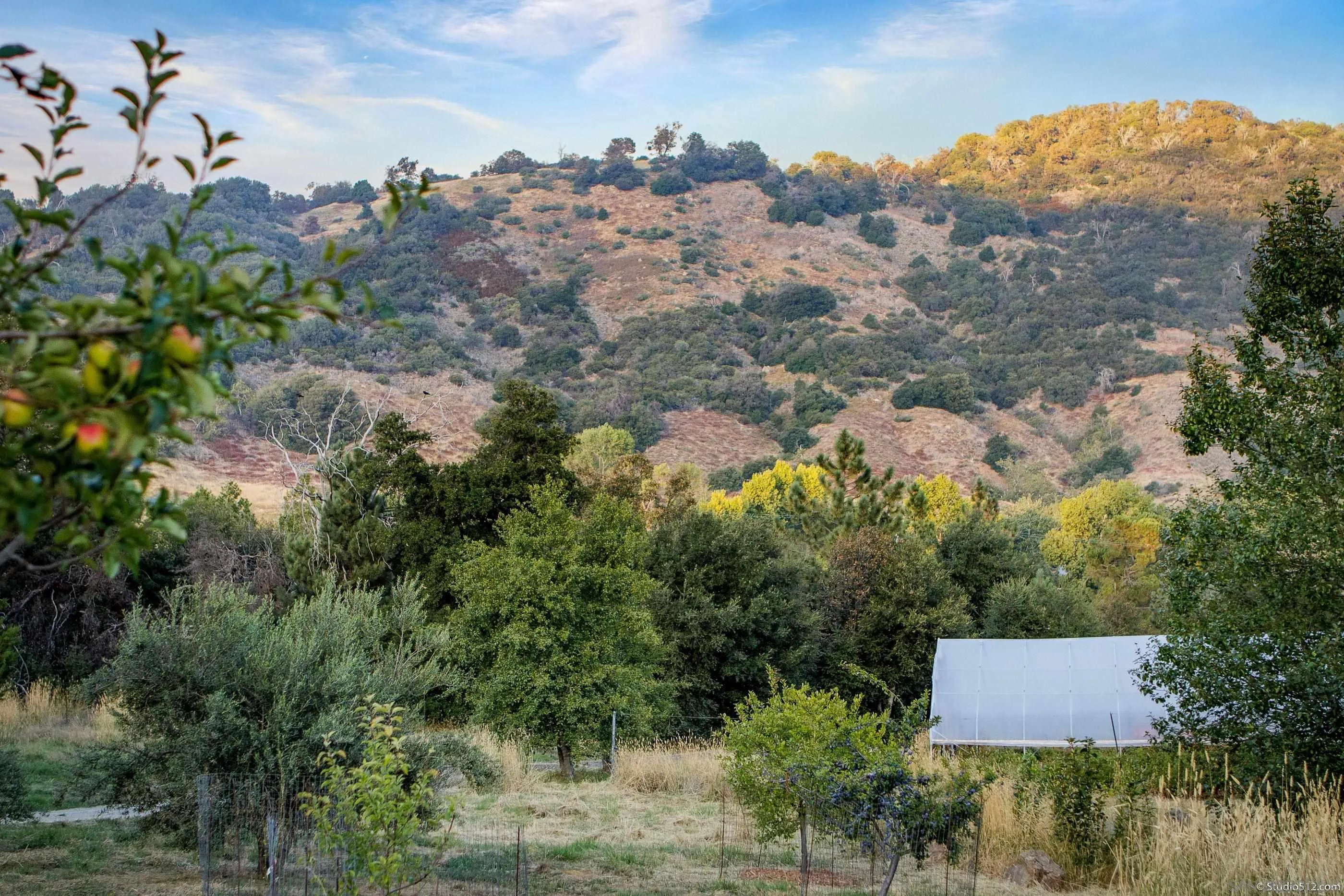 1861 Wynola Road Julian, CA 92036 - Photo 68 of 75