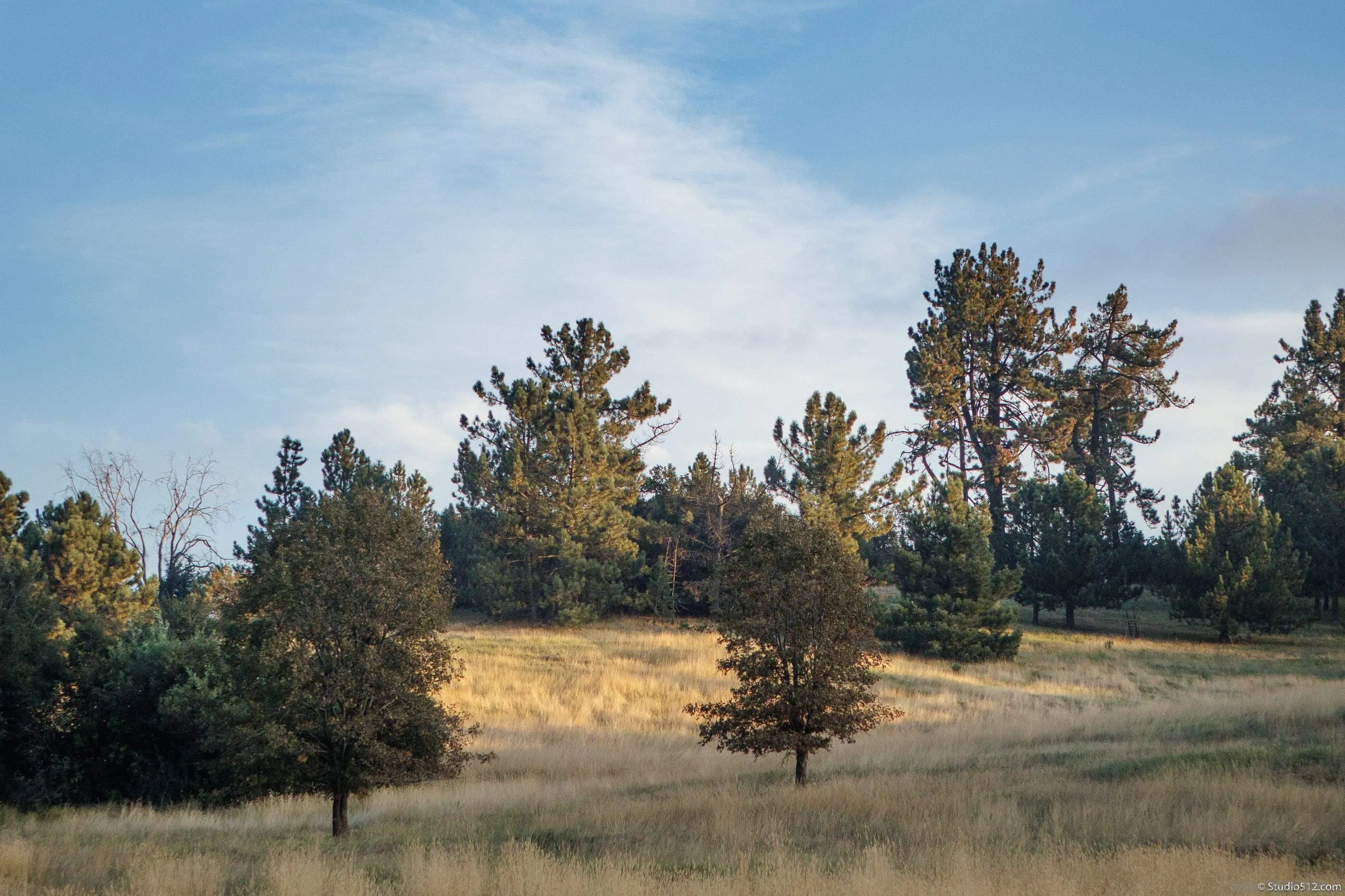 1861 Wynola Road Julian, CA 92036 - Photo 70 of 75 a view of a lake view