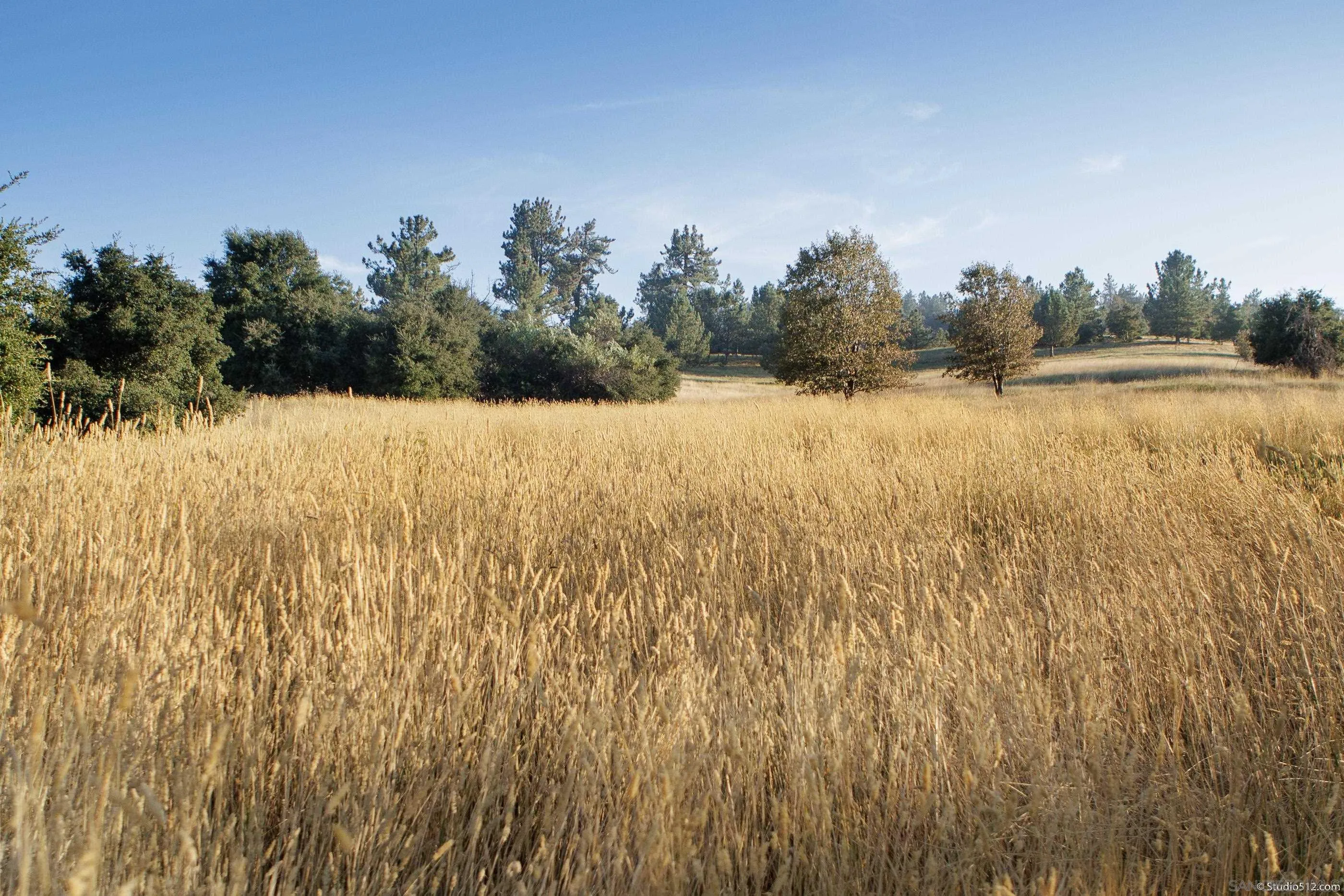 1861 Wynola Road Julian, CA 92036 - Photo 71 of 75 a view of a lake view