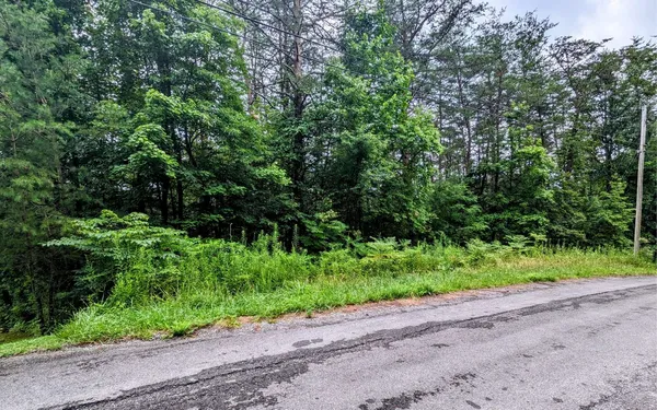 $24,900 | Lot32 Lakeview Drive, Turtletown, TN 37391