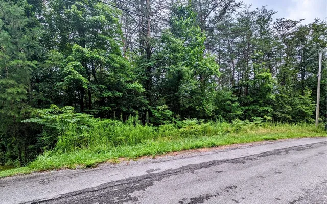 $24,900 | Lot32 Lakeview Drive, Turtletown, TN 37391