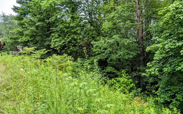 $24,900 | Lot32 Lakeview Drive, Turtletown, TN 37391