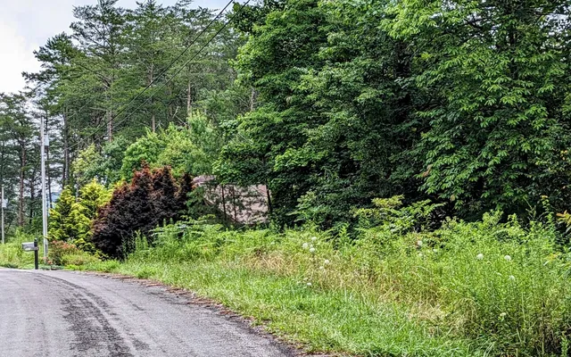 $24,900 | Lot32 Lakeview Drive, Turtletown, TN 37391