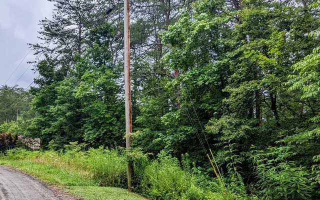 $24,900 | Lot32 Lakeview Drive, Turtletown, TN 37391