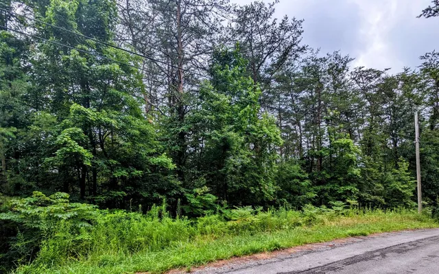 $24,900 | Lot32 Lakeview Drive, Turtletown, TN 37391