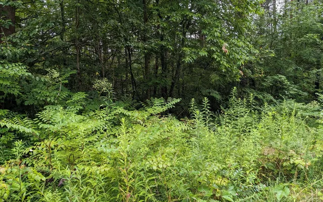 $24,900 | Lot32 Lakeview Drive, Turtletown, TN 37391