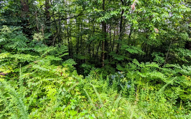 $24,900 | Lot32 Lakeview Drive, Turtletown, TN 37391