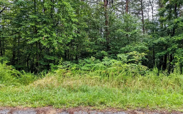 $24,900 | Lot32 Lakeview Drive, Turtletown, TN 37391