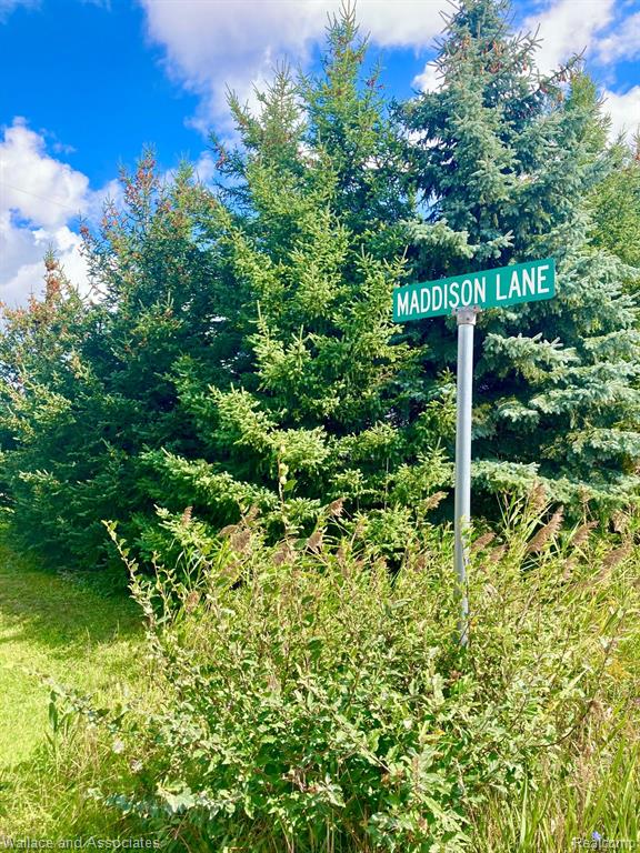 V/l Gardner Line Road Croswell, MI 48422 - Photo 3 of 6