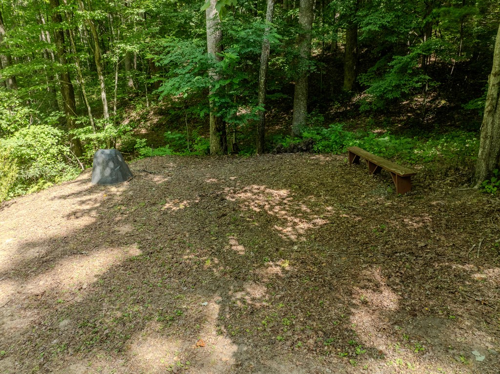 99 Clearview Lane Murphy, NC 28906 - Photo 7 of 25