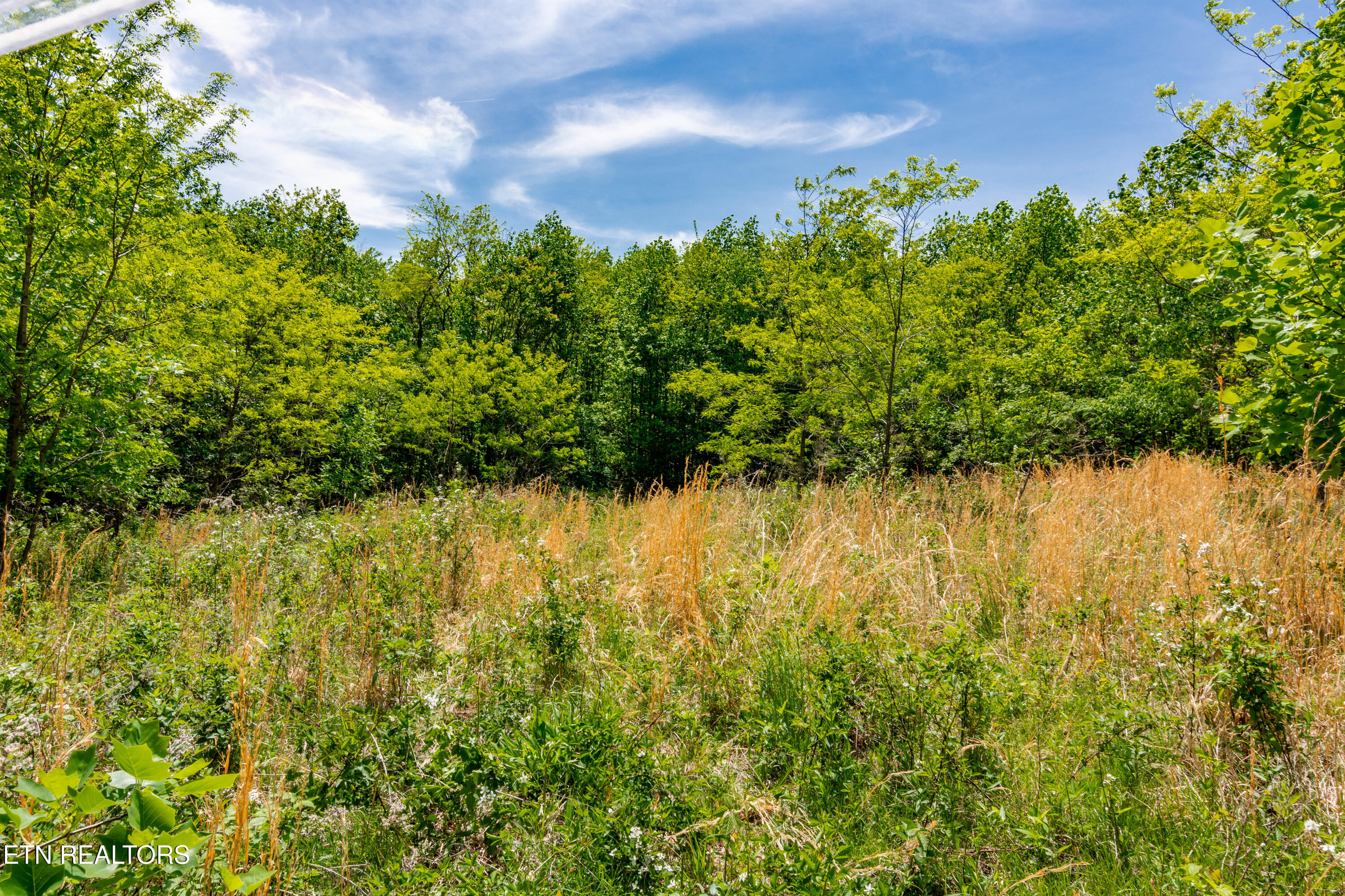 1867 Big Ridge Road Spring City, TN 37381 - Photo 15 of 40 1473 Pine Grove Rd-16