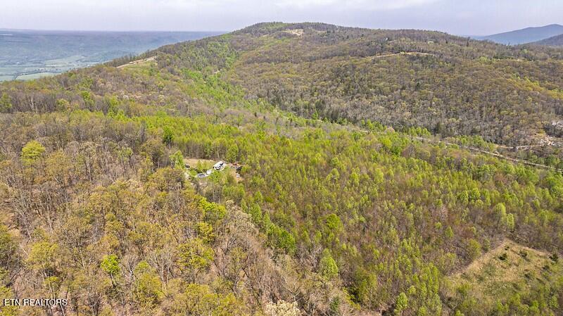 1867 Big Ridge Road Spring City, TN 37381 - Photo 18 of 40 big ridge 31