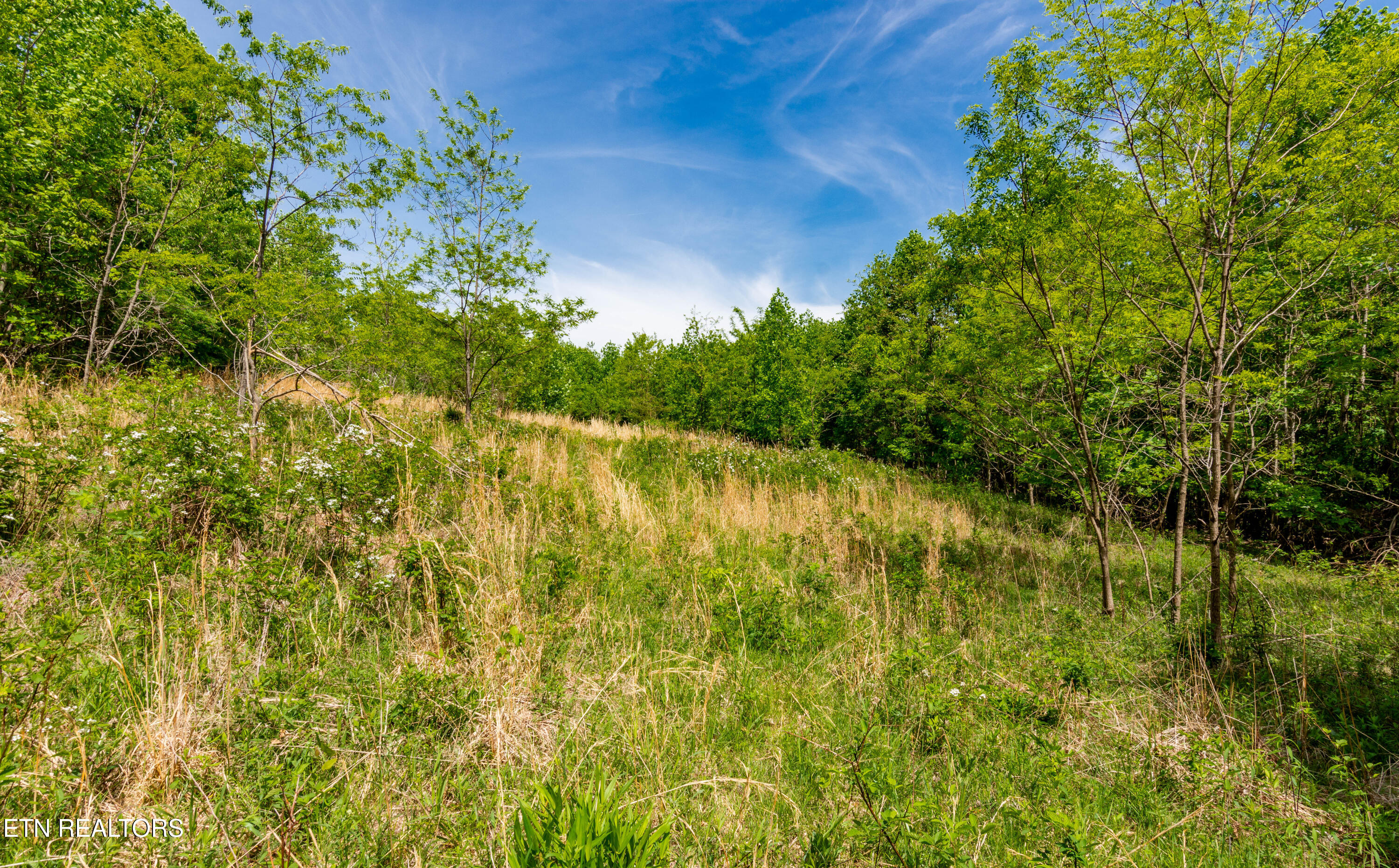 1867 Big Ridge Road Spring City, TN 37381 - Photo 30 of 40 1473 Pine Grove Rd-15